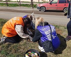 Волонтёры колледжа приняли участие в озеленении аллеи по улице В. Барсовой